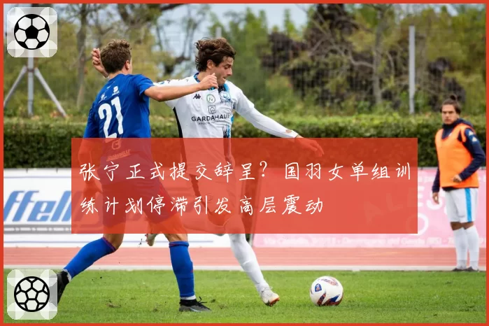 张宁正式提交辞呈？国羽女单组训练计划停滞引发高层震动