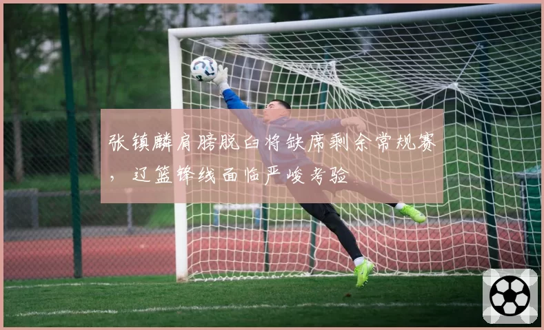 张镇麟肩膀脱臼将缺席剩余常规赛,辽篮锋线面临严峻考验