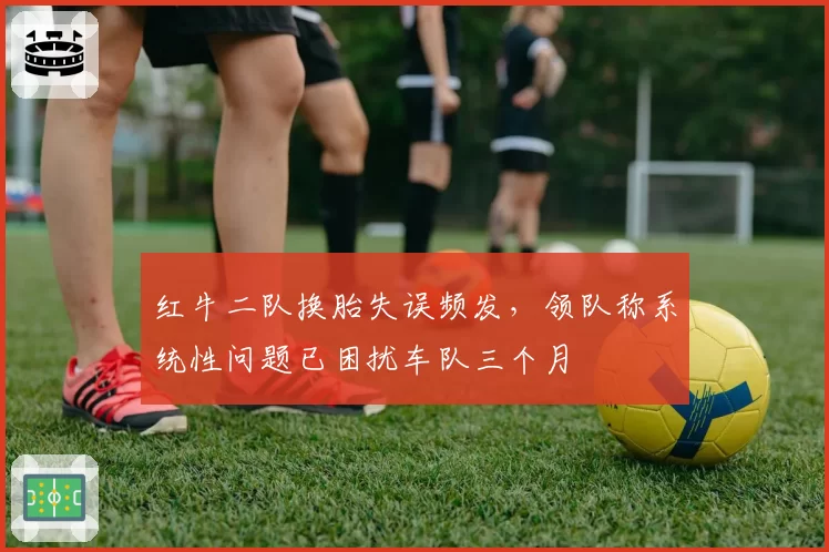 红牛二队换胎失误频发，领队称系统性问题已困扰车队三个月