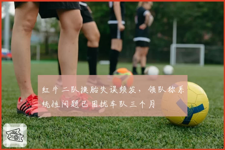红牛二队换胎失误频发，领队称系统性问题已困扰车队三个月