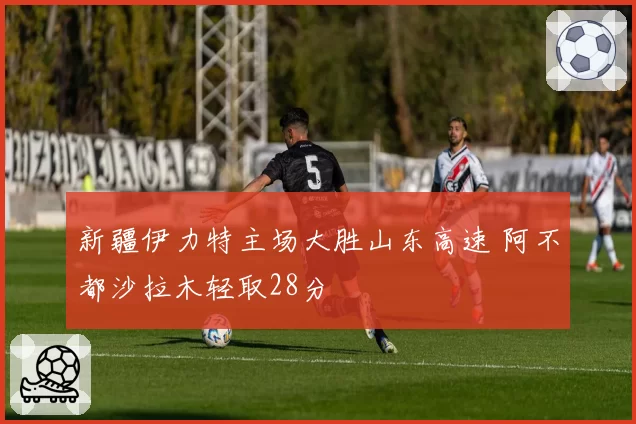 新疆伊力特主场大胜山东高速 阿不都沙拉木轻取28分