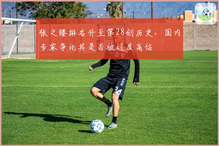张之臻排名升至第28创历史，国内专家争论其是否被过度高估